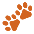 A pair of orange paw prints on green background.