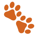 A pair of orange paw prints on green background.